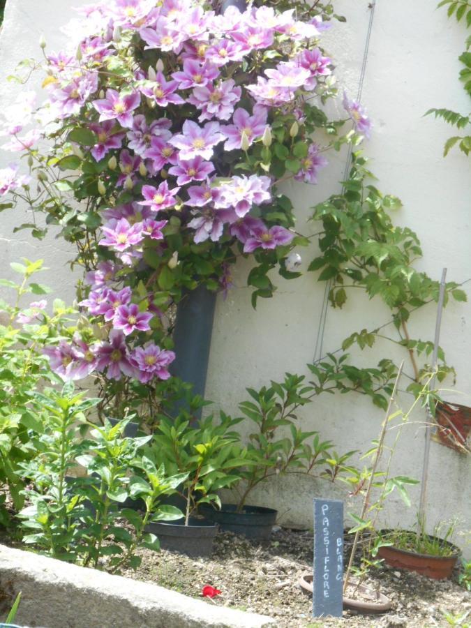 Bed & Breakfast La Mare Aux Fees